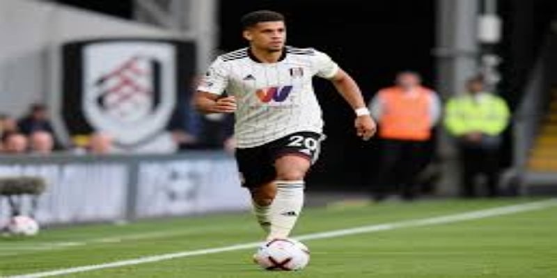 四冠王梦想：现实与务实的平衡-ug娛樂城