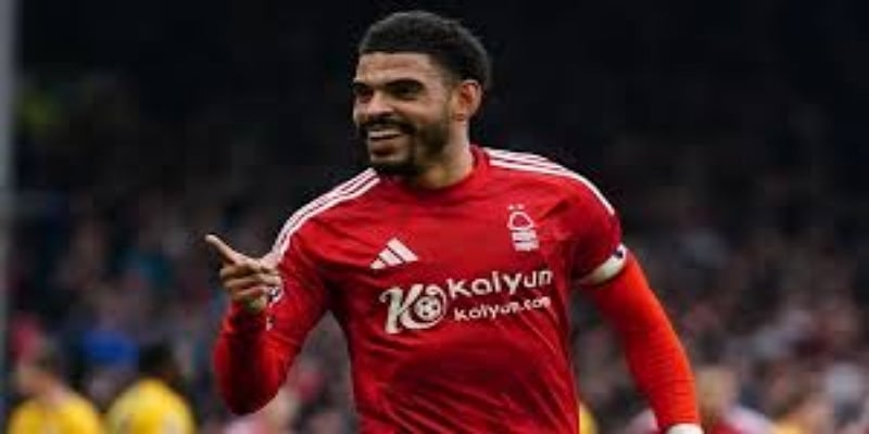 从斯塔福德小镇到莫利纽克斯的奇迹