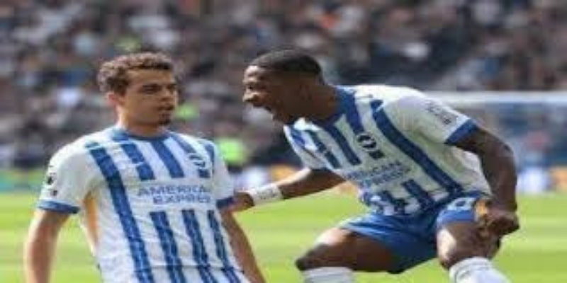 租借完美转正：卡特-维克斯成为凯尔特人新防线核心 -ug娛樂城